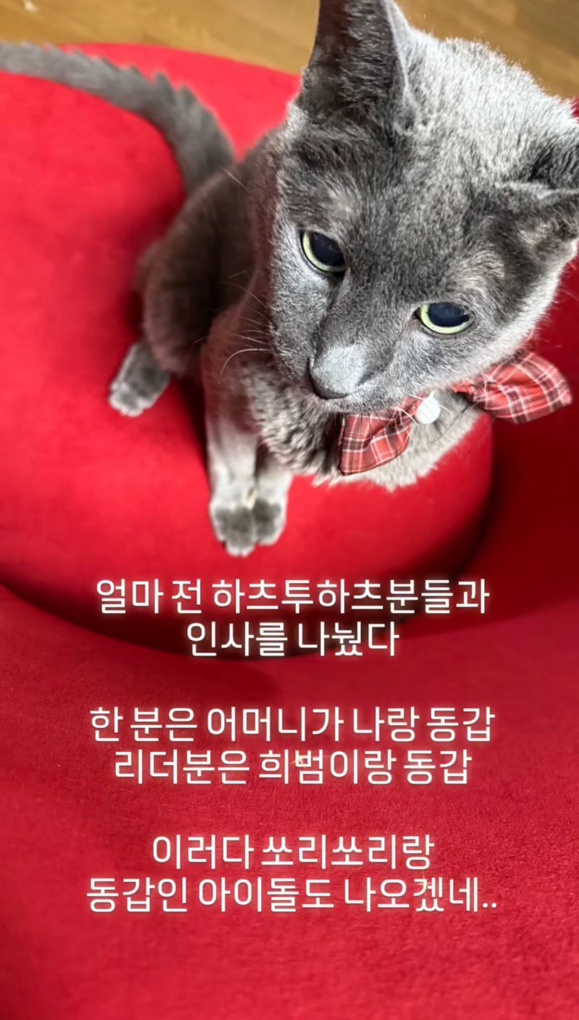 圖片來源：IG@heenim