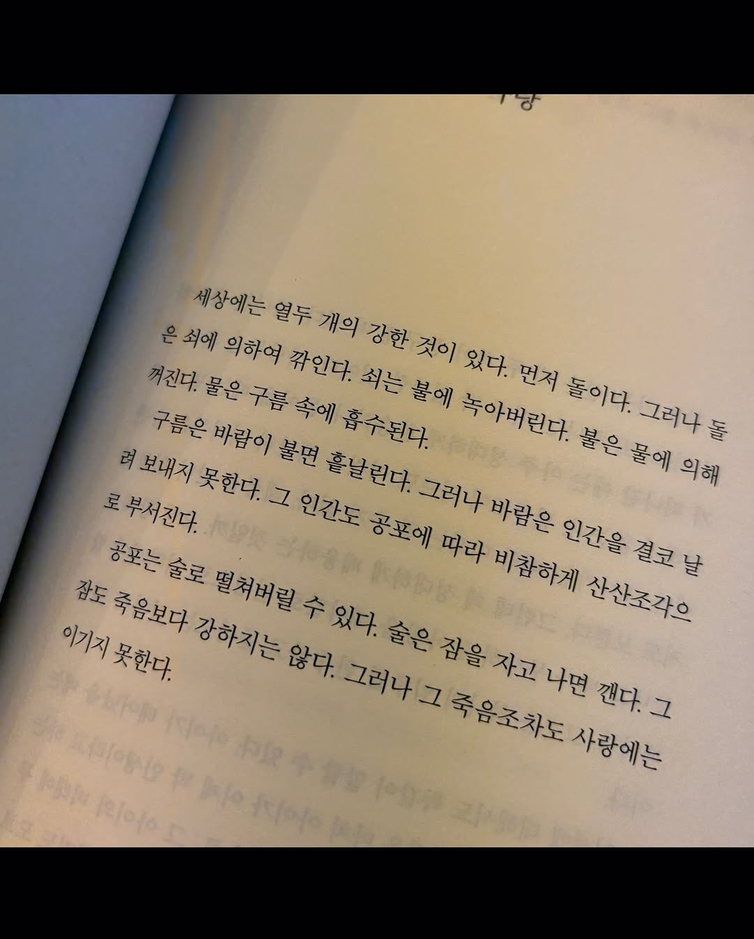 圖片來源：IG@for_everyoung10