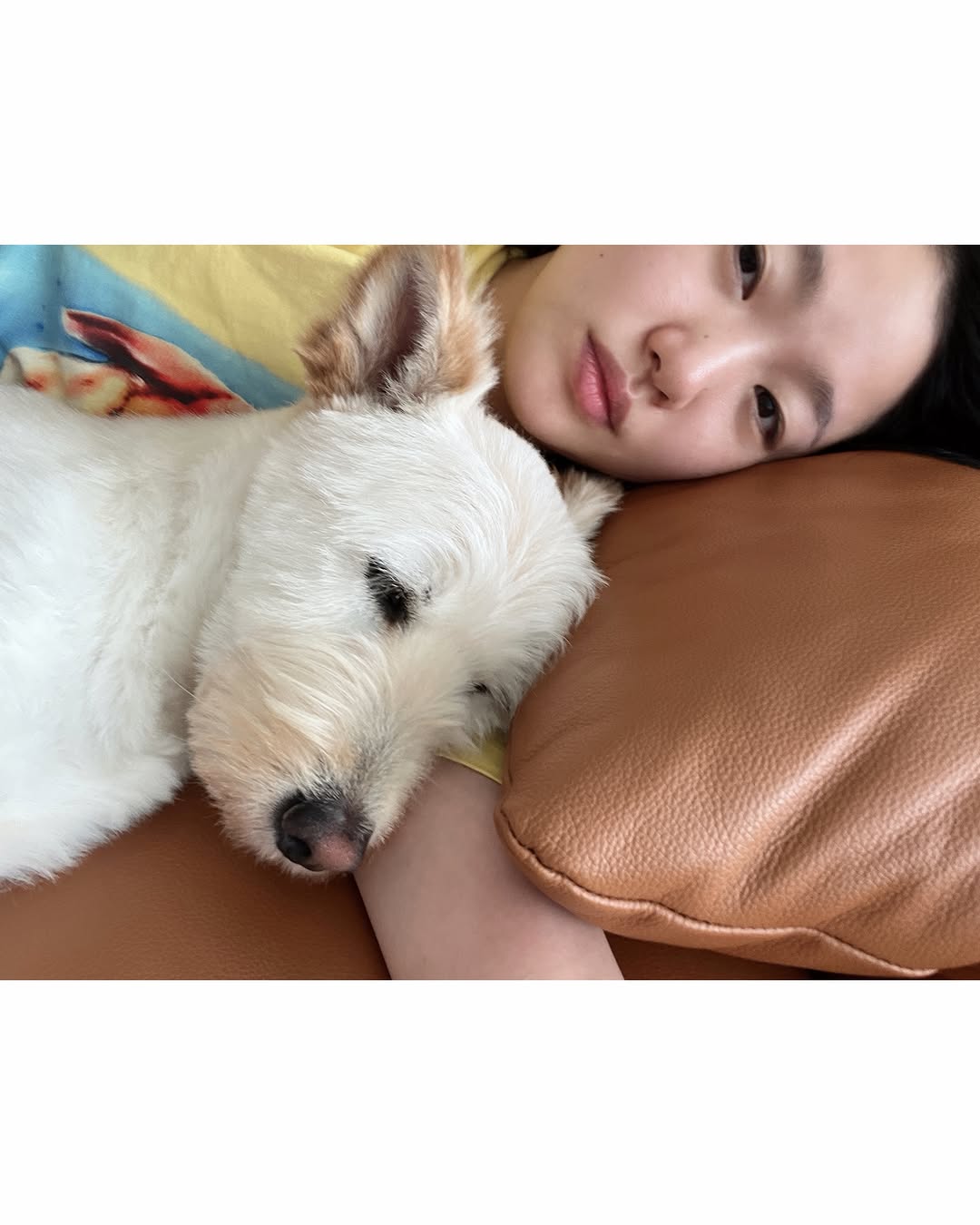 圖片來源:Theqoo