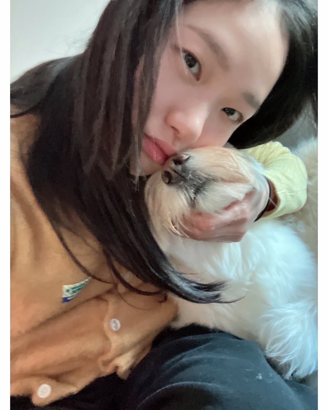 圖片來源:Theqoo
