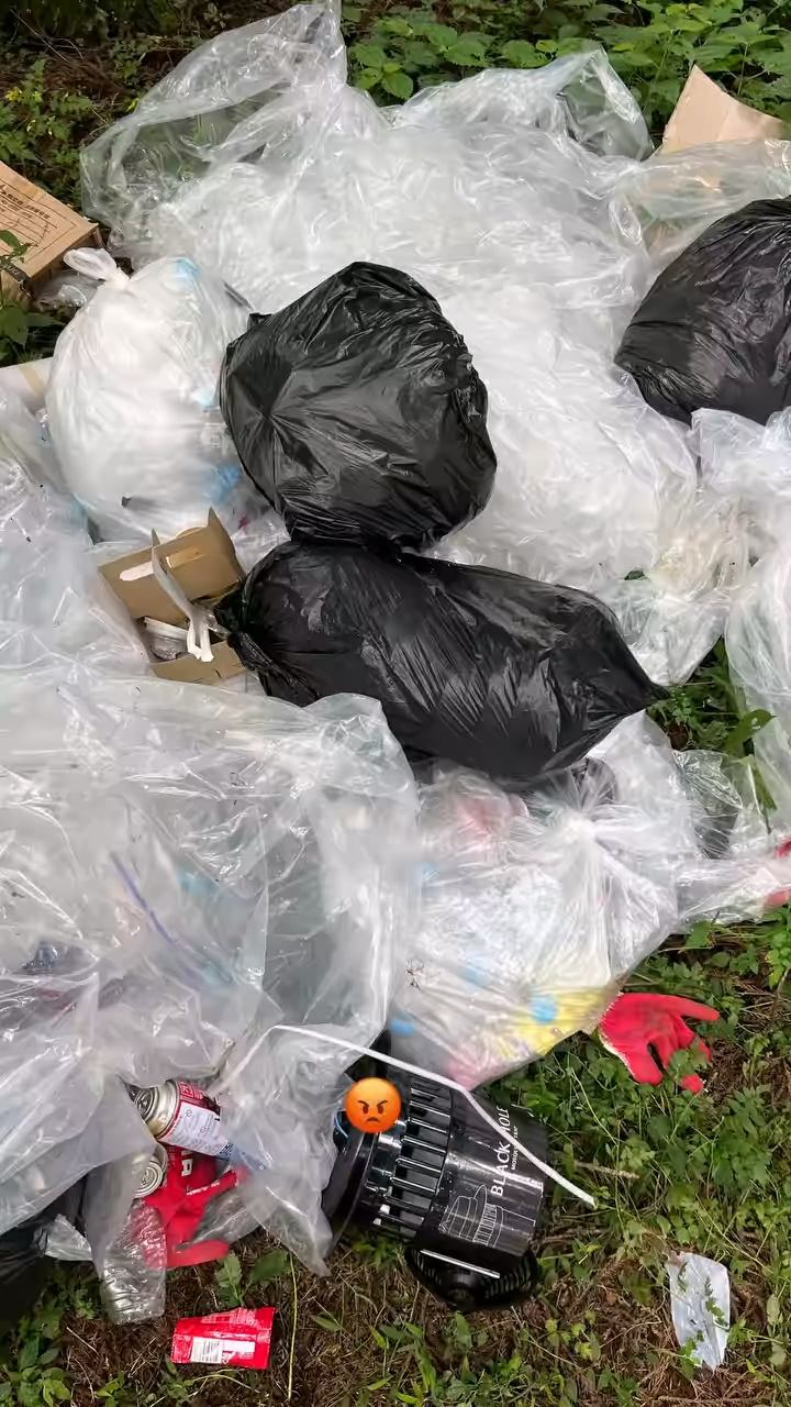 圖片來源：IG@6seek