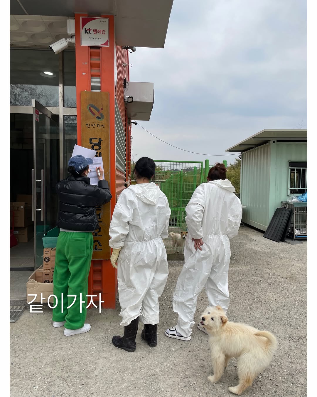 圖片來源:Theqoo